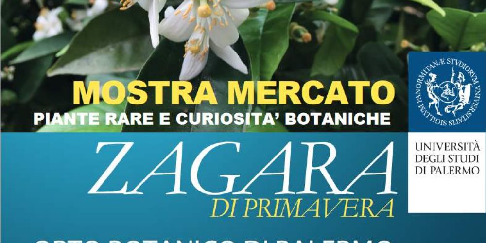 All&#8217;Orto Botanico la 14esima edizione de La Zagara di Primavera