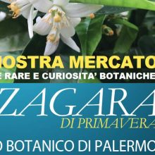All’Orto Botanico la 14esima edizione de La Zagara di Primavera